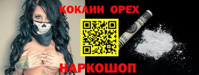 соль ск Новозыбков