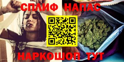 соль ск Новозыбков