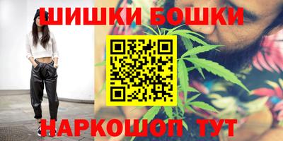 соль ск Новозыбков