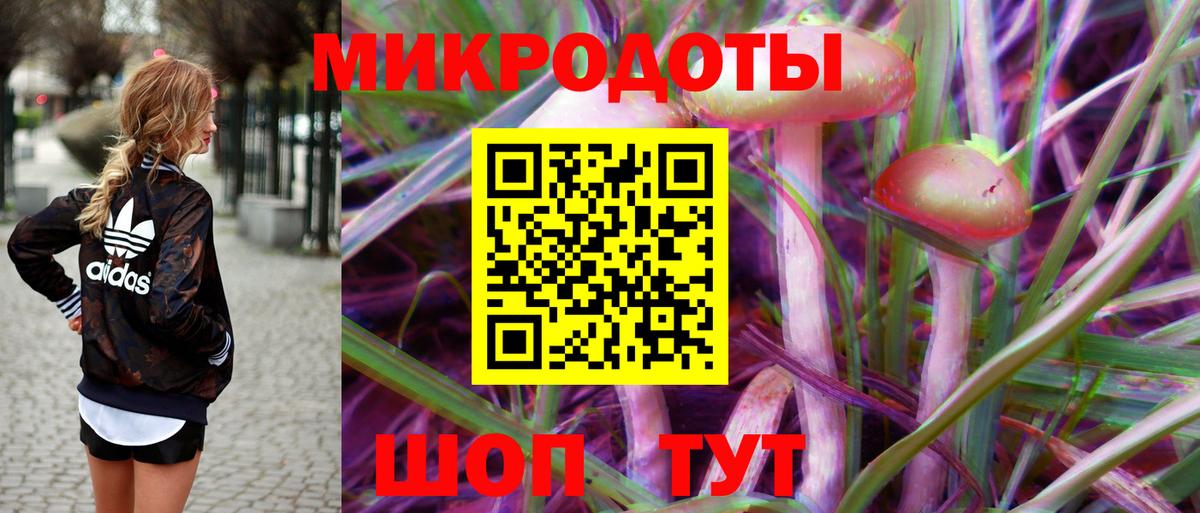Саров  Галлюциногенные грибы мухоморы  Псилоцибиновые грибы Psilocybe  Вход с VPN 