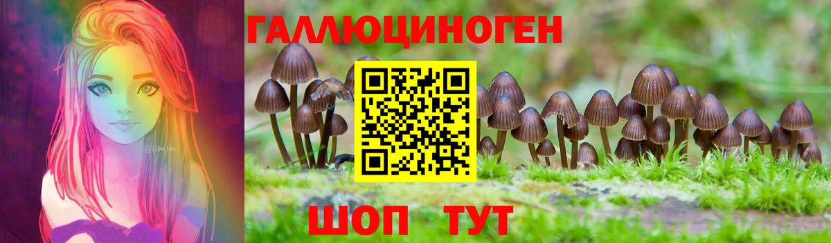 Галлюциногенные грибы Psilocybine cubensis Саров